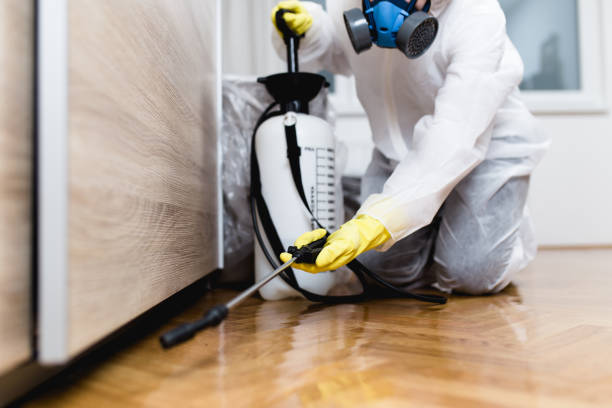 Best Termite Control Services  in Taylorvle, IL