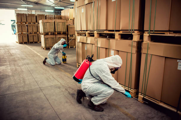 Best Affordable Pest Control Services  in Taylorvle, IL
