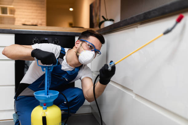 Best Affordable Pest Control Services  in Taylorvle, IL