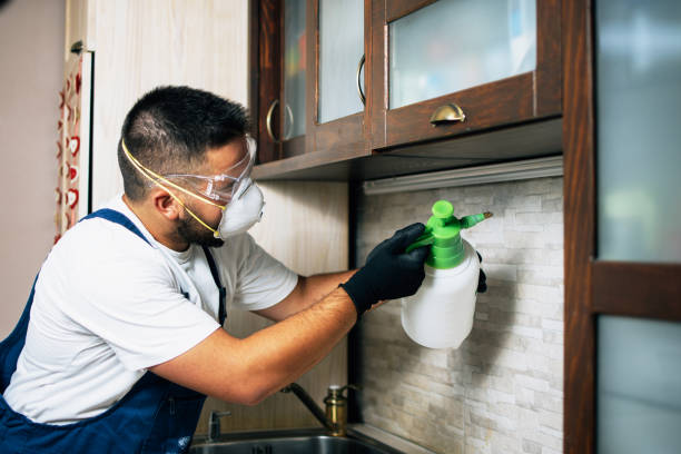 Best Pest Control for Homes  in Taylorvle, IL
