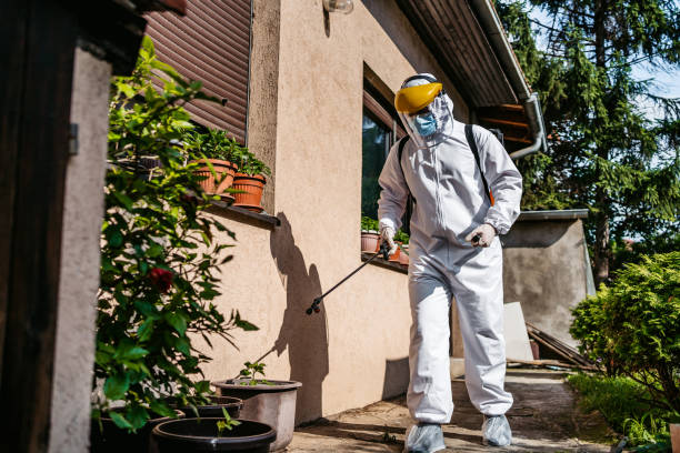 Best Pest Control for Businesses  in Taylorvle, IL