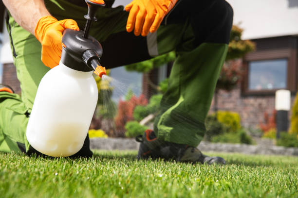 Best Bird Control  in Taylorvle, IL