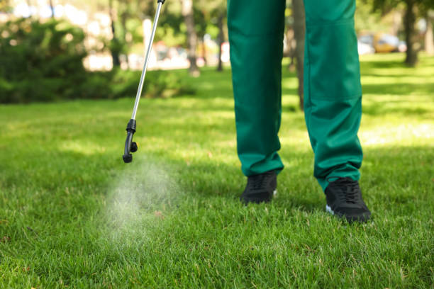 Best Flea Control Services  in Taylorvle, IL