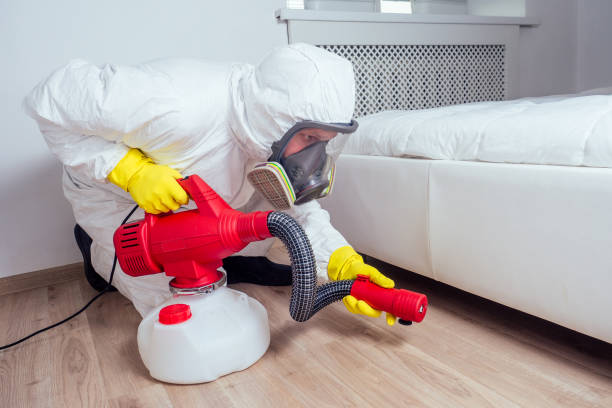 Best Pest Control Near Me in Taylorville, IL