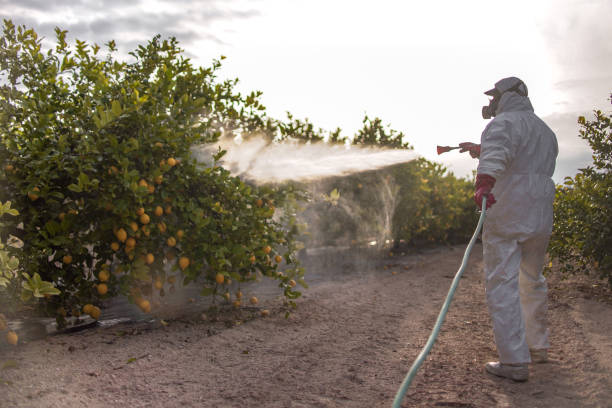 Best Pest Removal Services  in Taylorvle, IL