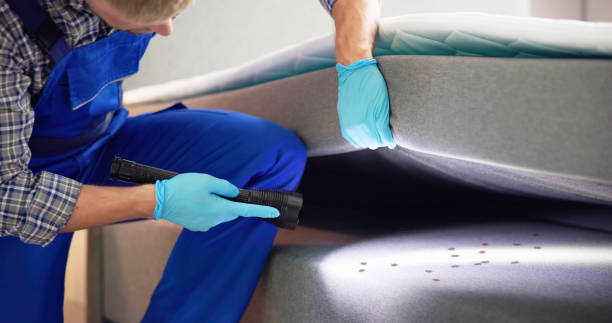 Best Exterminator Services  in Taylorvle, IL