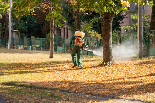 Best Residential Pest Control  in Taylorvle, IL