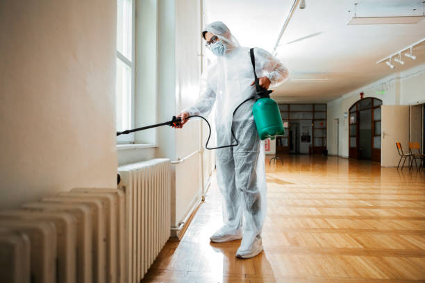 Best Best Pest Control Companies  in Taylorvle, IL