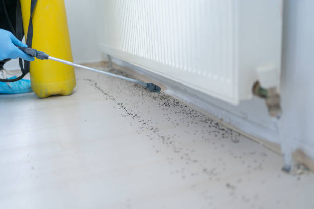 Professional Pest Control in Taylorville, IL